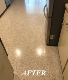 Terrazzo After Restoring & Polishing